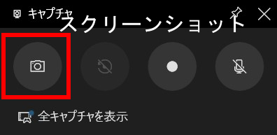 動画キャプチャのオプション