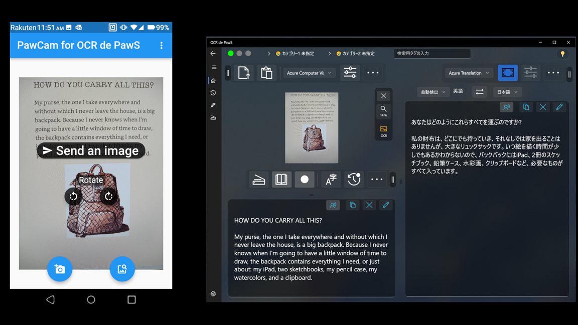 PawCam Demo